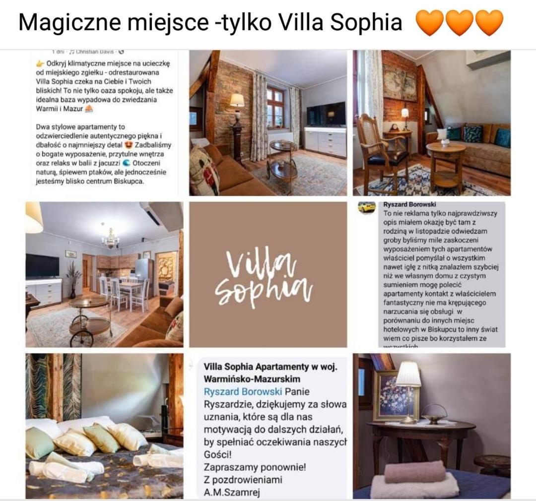 Villa Sophia Biskupiec  Ngoại thất bức ảnh